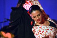 Cante, baile y caracola (2005)