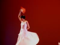 II Festival Flamenco (2003)
