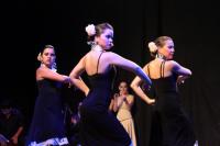 Festival Nacional de las Artes (2011)