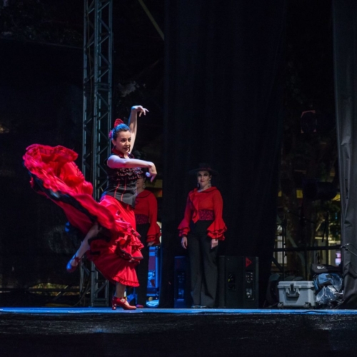 aa-de-zapatos--2018-14