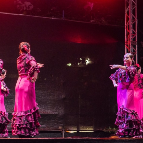 aa-de-zapatos--2018-17