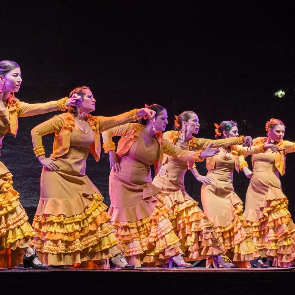 aa-de-zapatos--2018-20