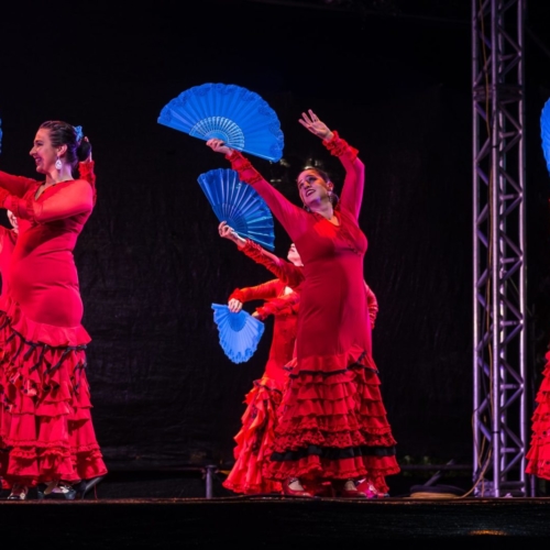 aa-de-zapatos--2018-4