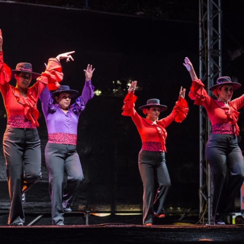 aa-de-zapatos--2018-5