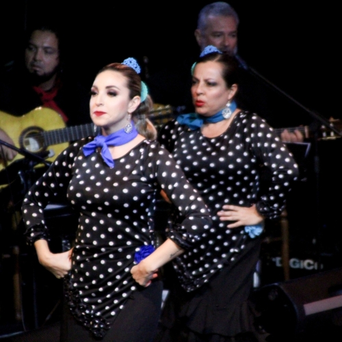 16 AlÁndalus en Nochebuena